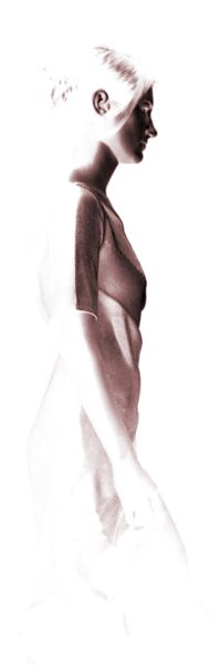 Model